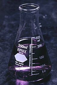  Flasks, Erlenmeyer